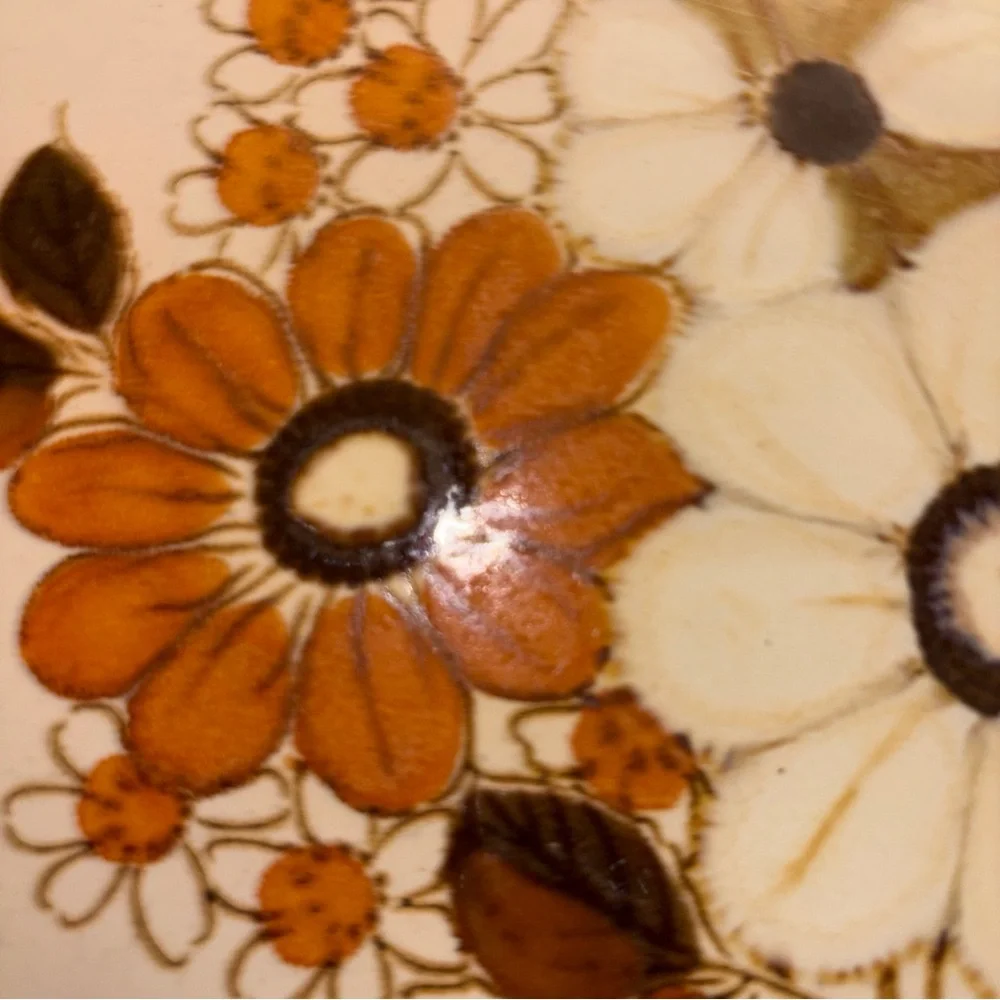 Woodhaven stoneware style Pleasant lot 7 plates 10.75 diameter made Japan - Picture 3 of 6